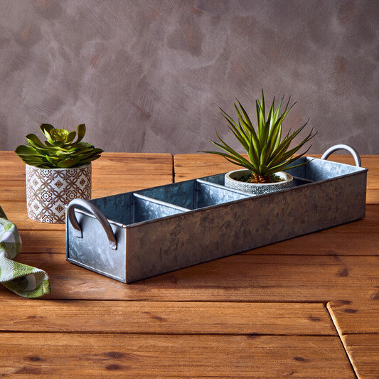 Decorative metal tray with plants on a wooden surface against a gray wall