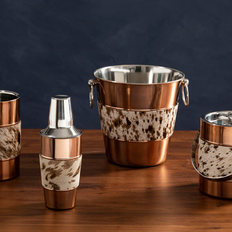 Albany Cocktail Shaker