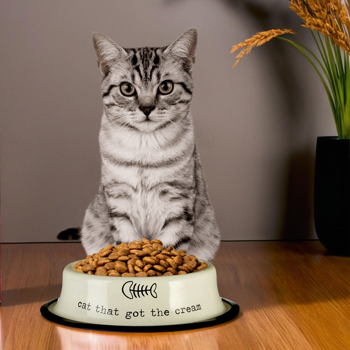 Cat sitting behind a bowl of cat food with a humorous inscription on a wooden floor.