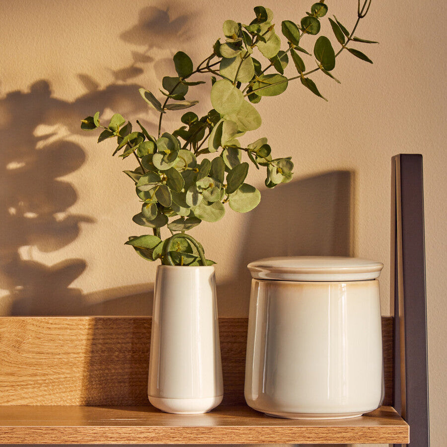 Two white ceramic containers with a green plant on a wooden shelf against a beige wall.