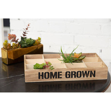 Naresso 12 Compartments Herbs Seed Crate