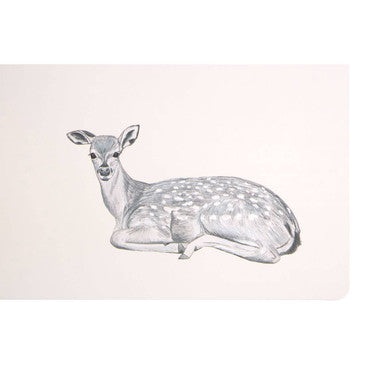 Effy Set Of Two Mini Forest Placemats And Coasters