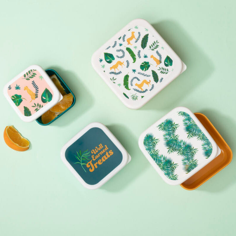 Mimo Set Of 4 Winter Palm Lunch Boxes