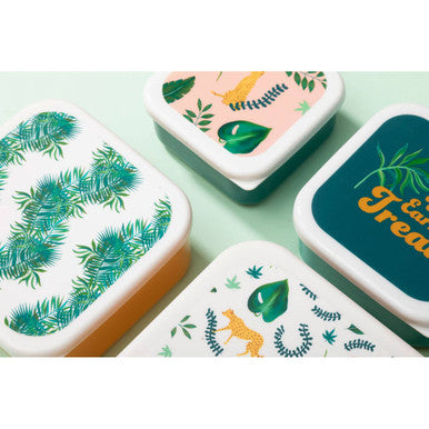 Mimo Set Of 4 Winter Palm Lunch Boxes