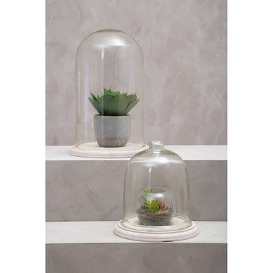 Jain Bell Jar with Knob Handle