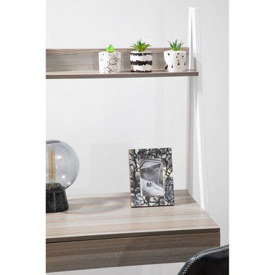 Mimo Set Of 3 White And Black Succulents