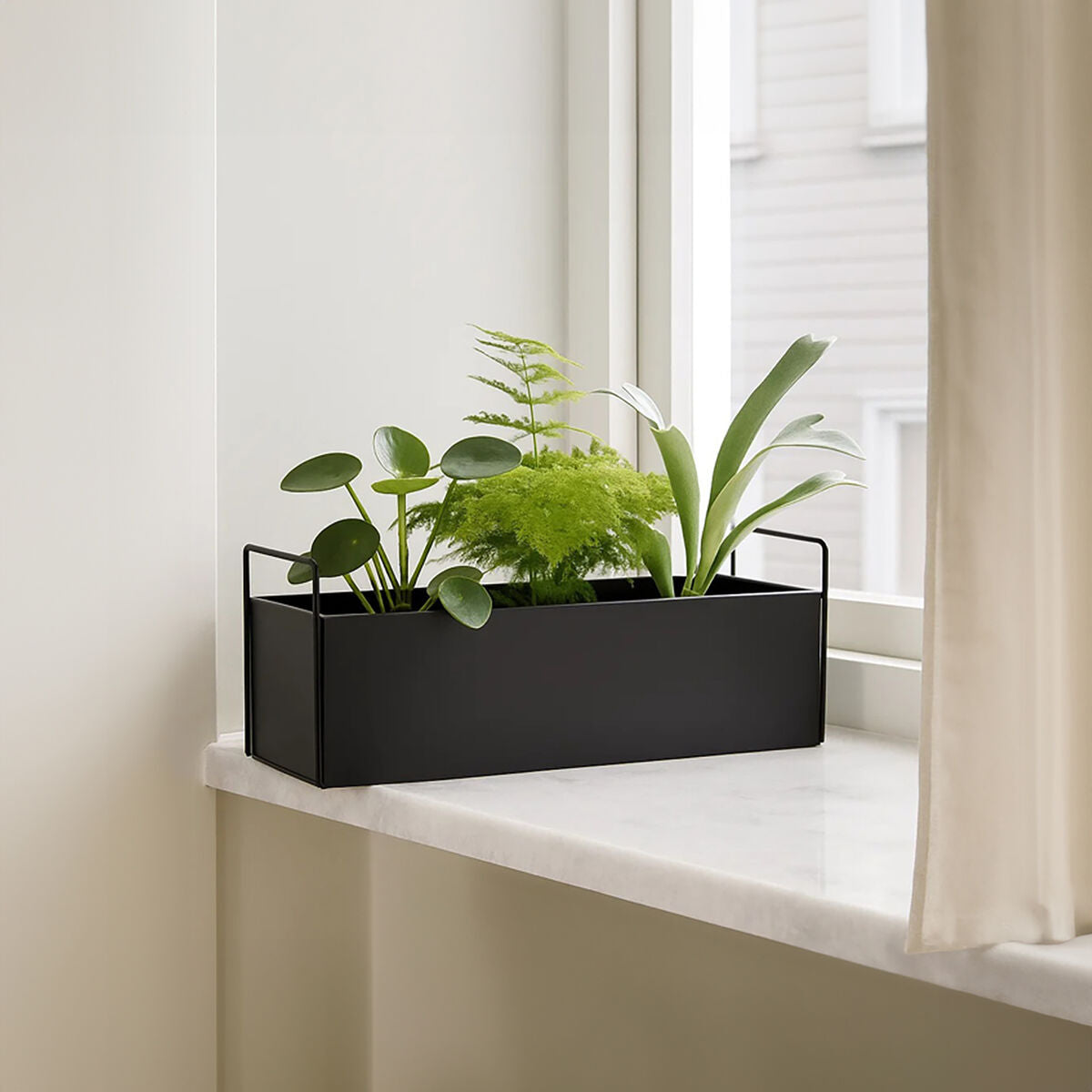 Asher Large Black Plant Box