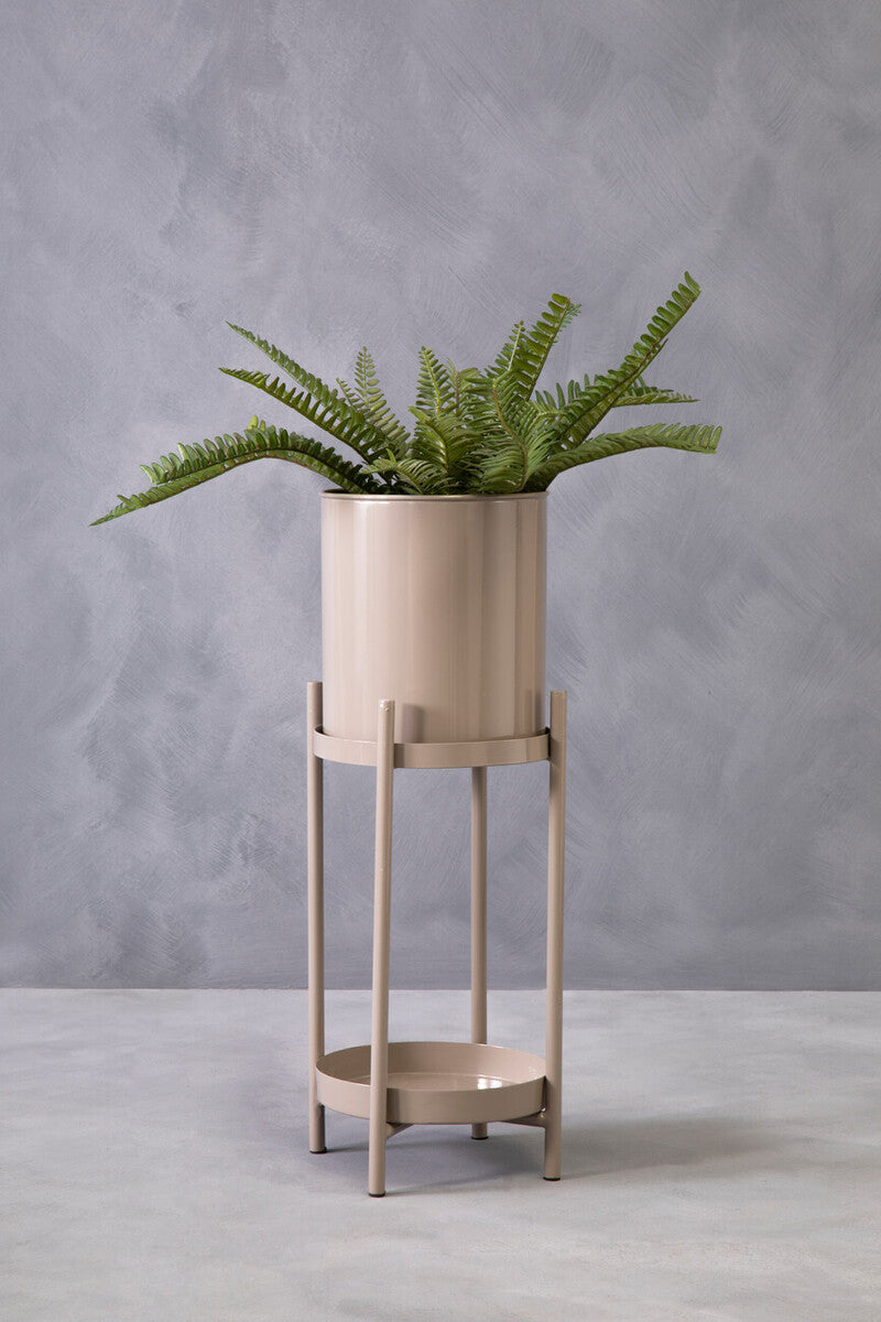Fern plant in a beige pot on a matching stand against a gray background