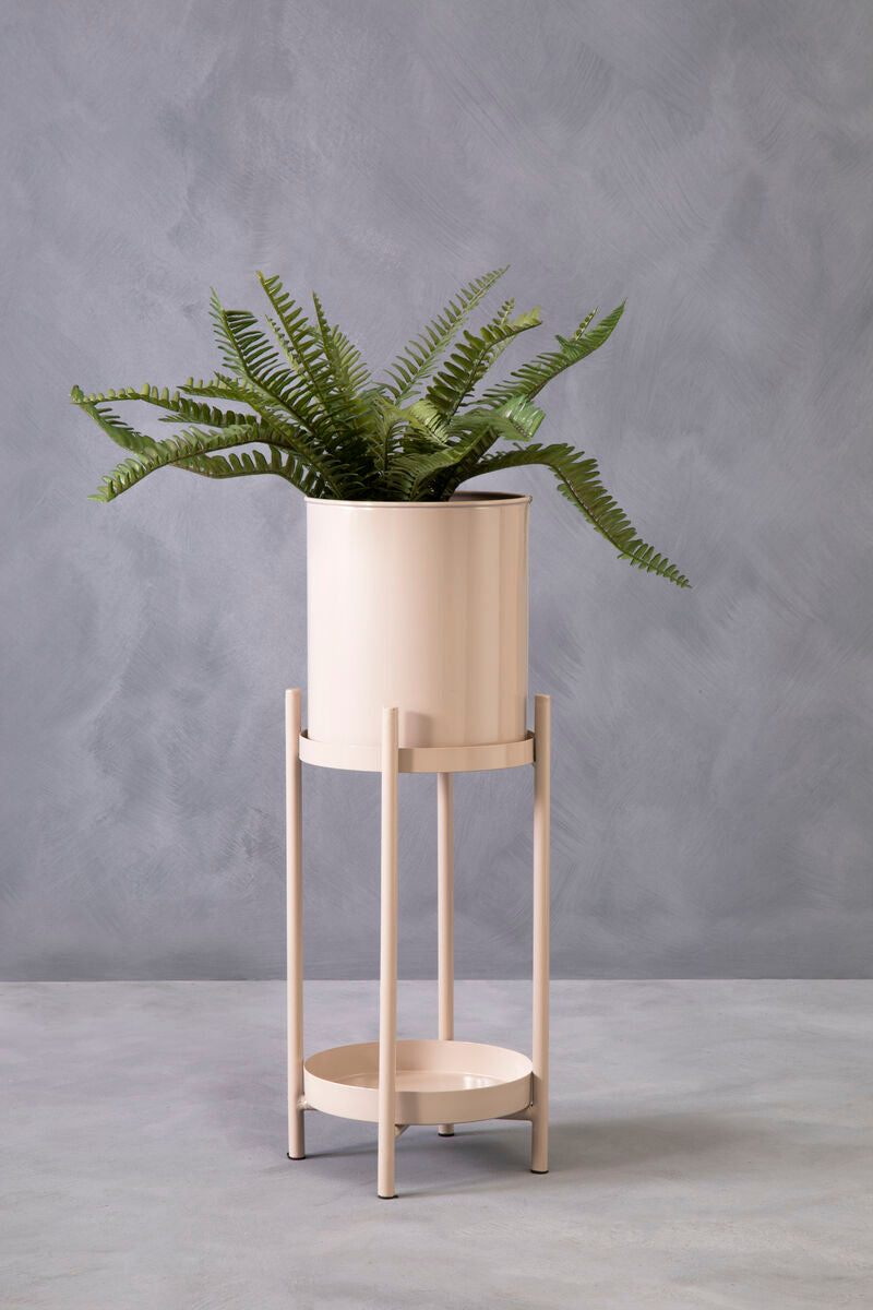 Potted fern on a wooden plant stand against a gray background