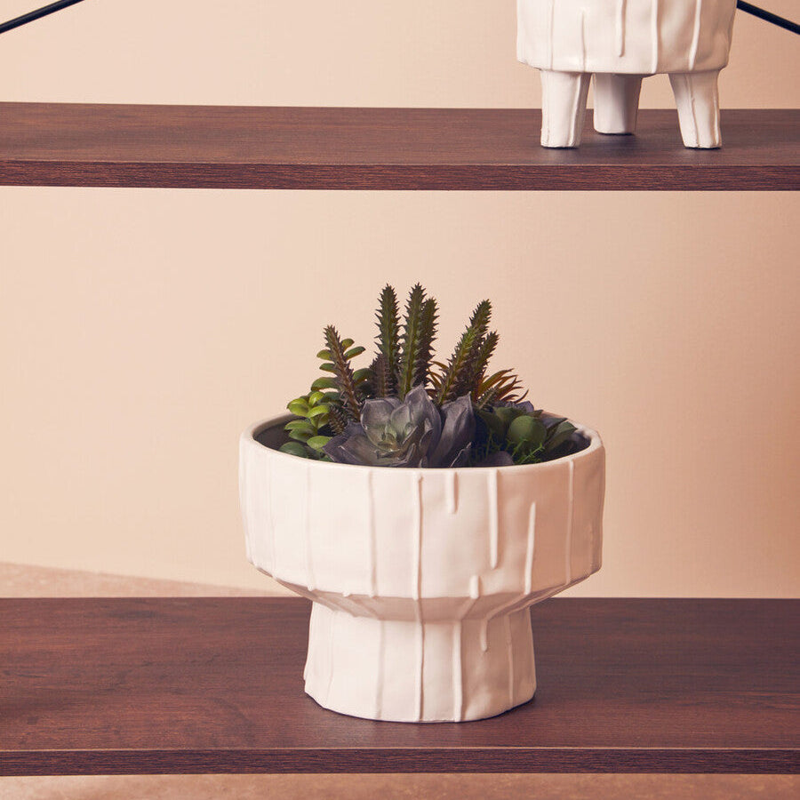 Decorative planters on wooden shelves with a neutral background