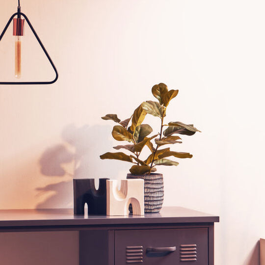 Broc Set Of Two Black And White Bookends