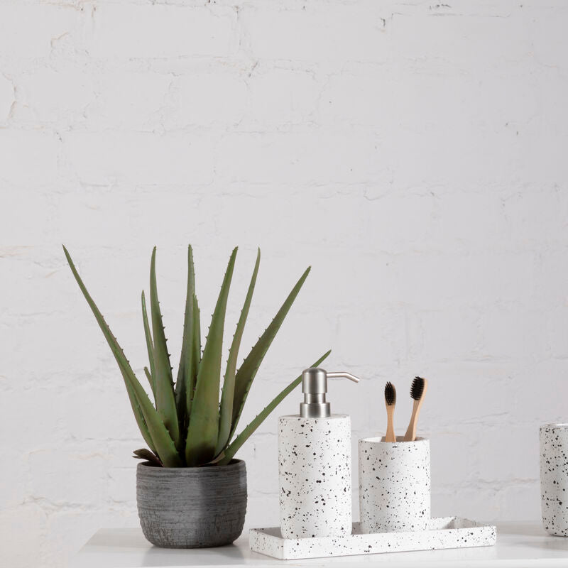 Bathroom accessories including a plant, soap dispenser, toothbrush holder, and toilet brush holder on a white surface with a light gray wall background.