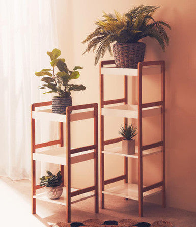 Two wooden shelves with plants against a beige wall