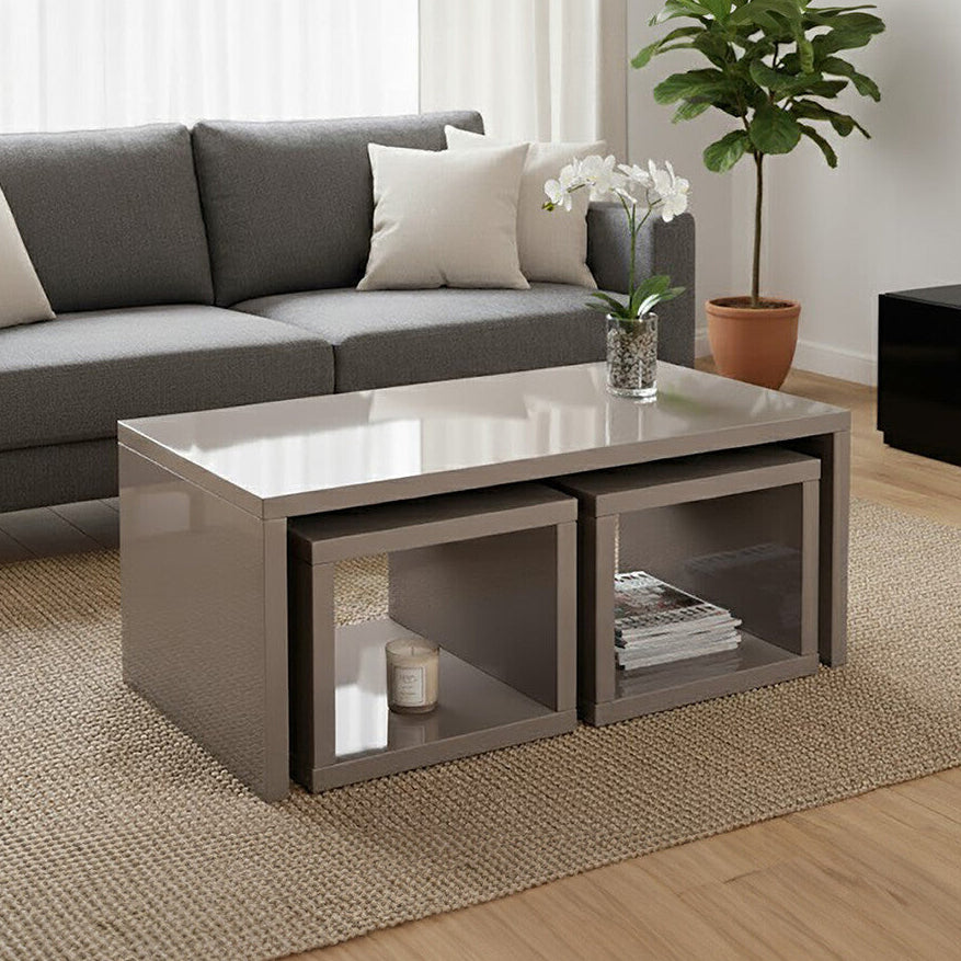 Modern living room with a gray sectional sofa, coffee table, and plant.