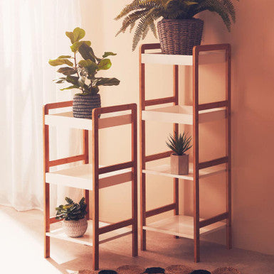 Two wooden shelves with plants against a beige wall