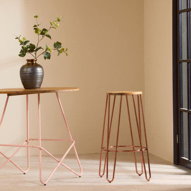 Two stools with metal frames in a minimalistic room with a vase and plant on a table.