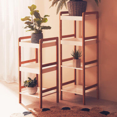 Two wooden shelves with plants against a beige wall