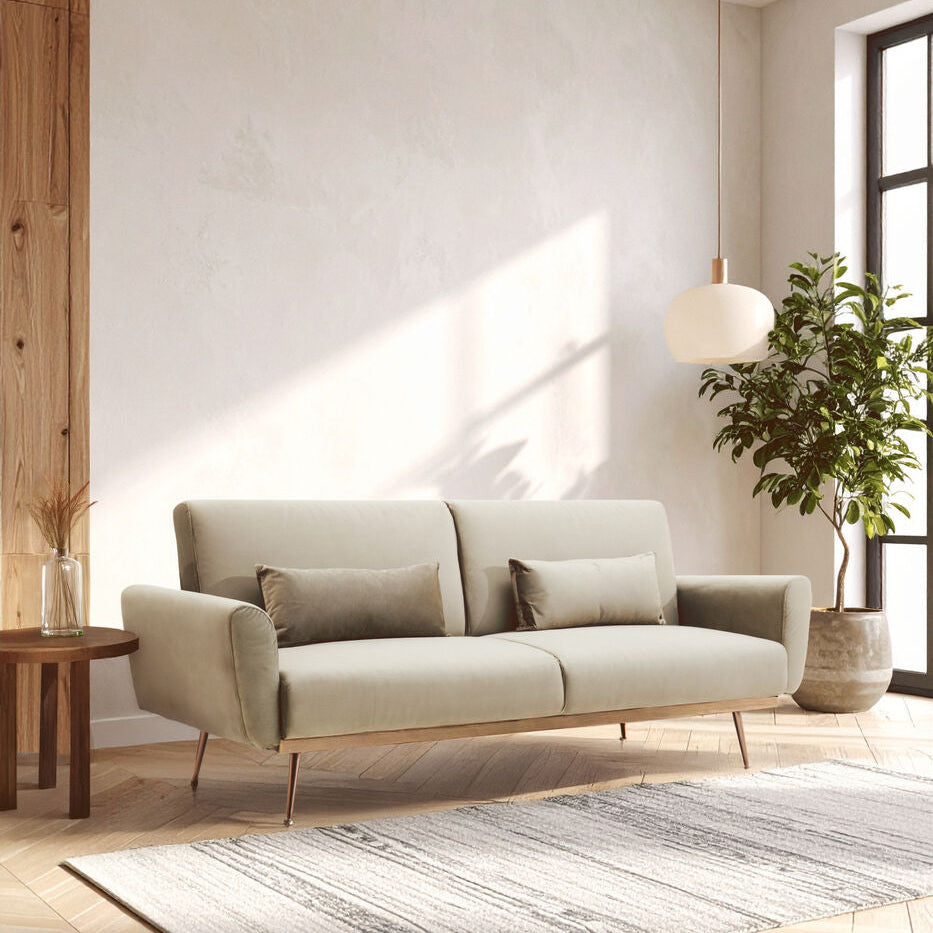 Modern living room with a beige sofa, rug, and plant