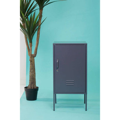 Navy blue metal locker against a teal wall with a potted plant to the left.
