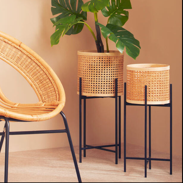 Wicker chair with two plant stands and a plant against a beige wall.