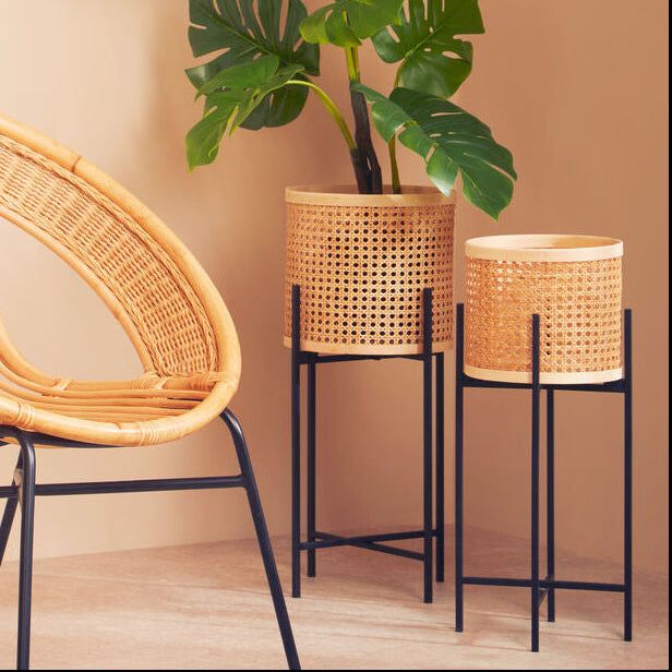 Wicker chair and plant stands with a plant against a beige wall.