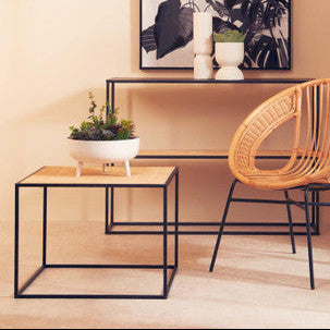 Modern interior with a wicker chair, side table, and decorative plant against a beige wall.
