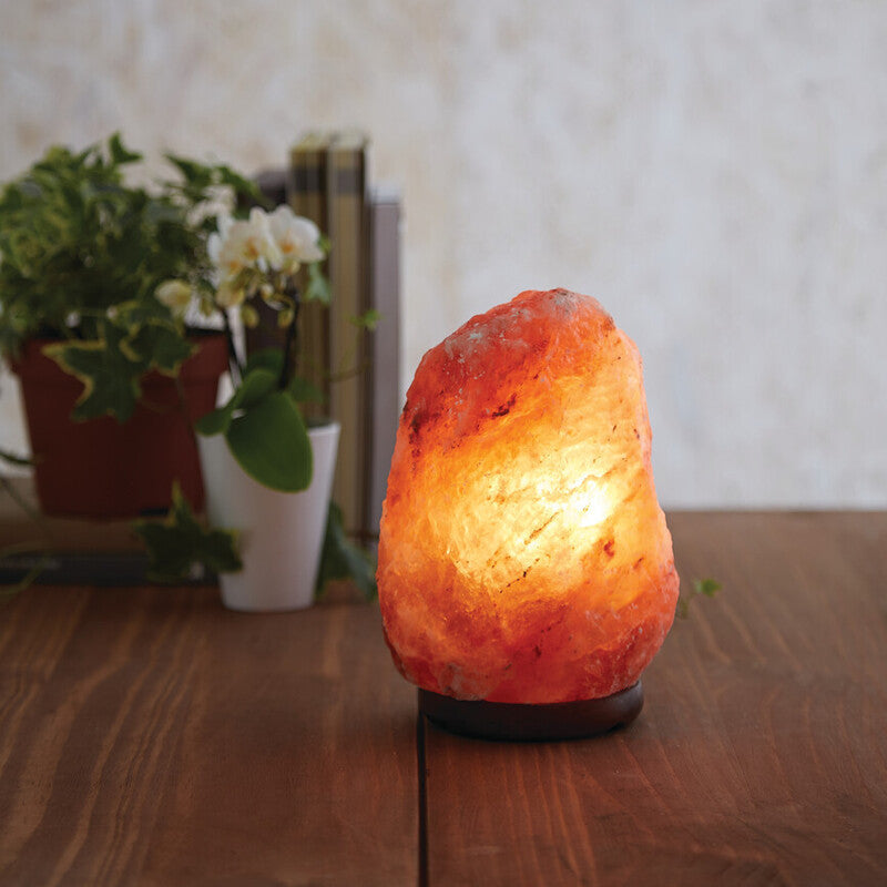 Himalayan salt lamp on a wooden surface with plants in the background