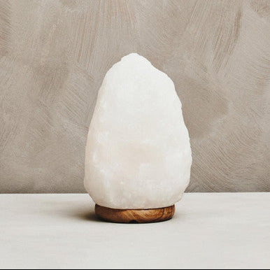 White alabaster lamp with wooden base on a neutral background