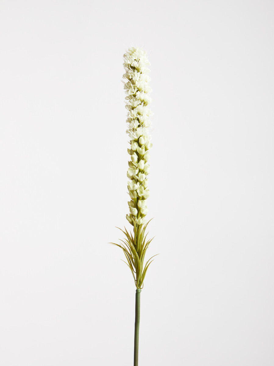 Fiori Grey Feather Stem