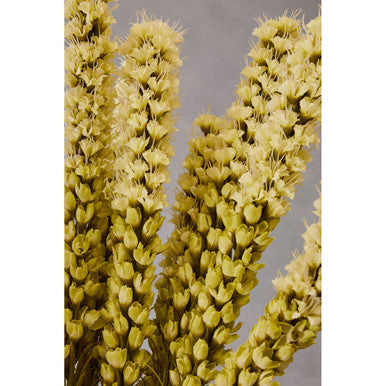 Fiori Grey Feather Stem