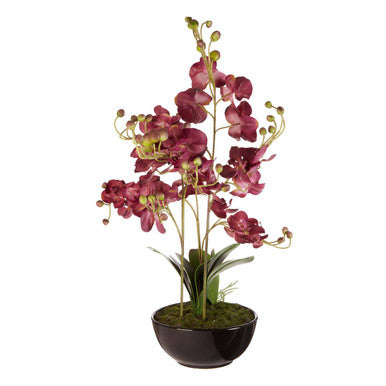 Fiori Purple Orchid Flowers in Black Pot
