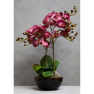 Fiori Purple Orchid Plant With Black Pot