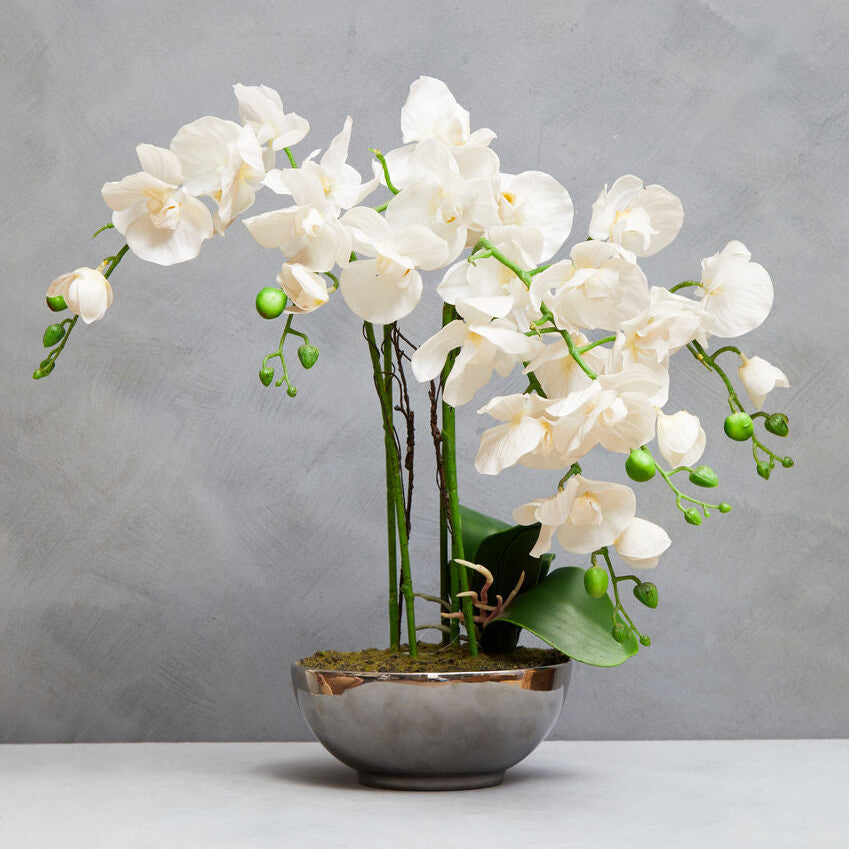 White orchid arrangement in a silver pot on a gray background