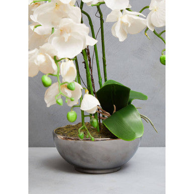 Fiori White Orchid Flowers in Round Silver Pot