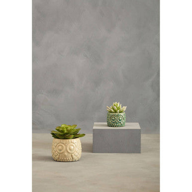 Fiori Small Succulent in Ceramic Owl Pot - image 5