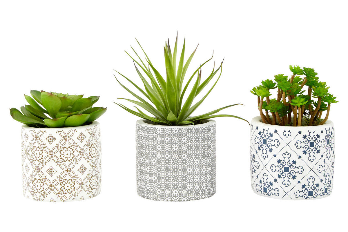 Fiori Set of 3 Succulents in Geometric Design Ceramic Pots