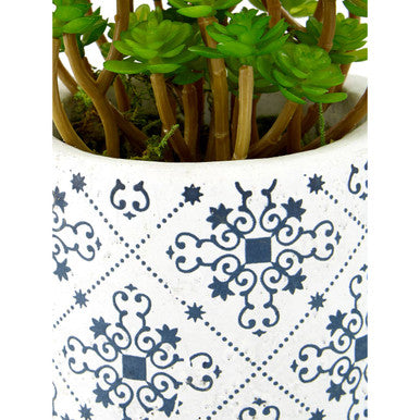 Fiori Set of 3 Succulents in Geometric Design Ceramic Pots