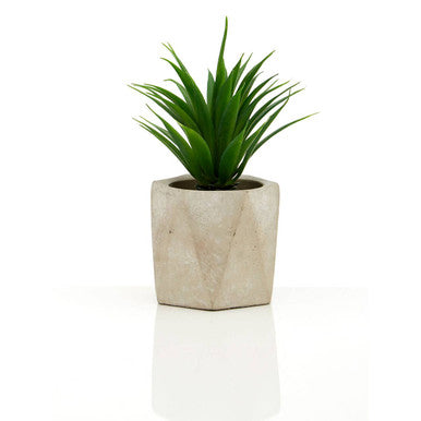 Fiori Set of 3 Succulents in Geo Cement Pots - image 4