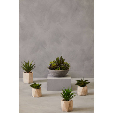 Fiori Set of 3 Succulents in Geo Cement Pots - image 2
