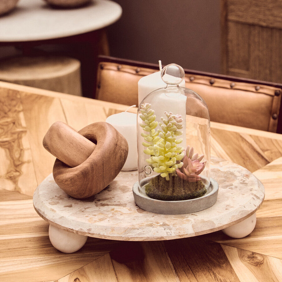 Decorative object with a wooden knot and a small plant under a glass dome on a marble base.