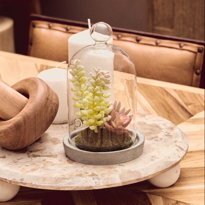 Decorative object with a wooden knot and a small plant under a glass dome on a marble base.