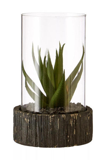 Fiori Small Succulent with Black Stone Base