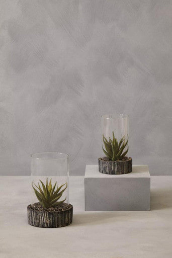 Fiori Small Succulent with Black Stone Base