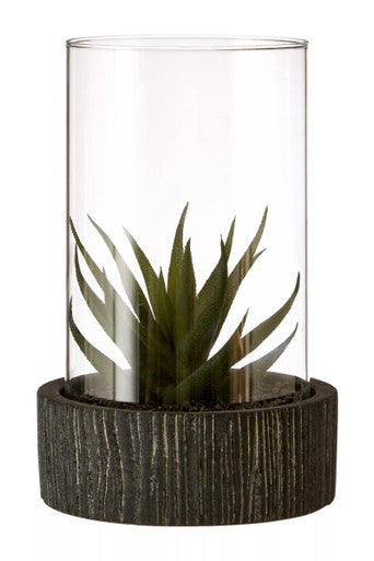 Fiori Large Succulent with Black Stone Base