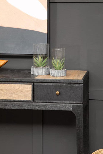 Fiori Large Succulent with Black Stone Base