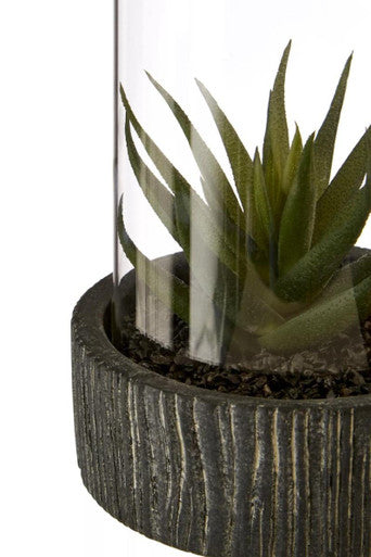 Fiori Large Succulent with Black Stone Base