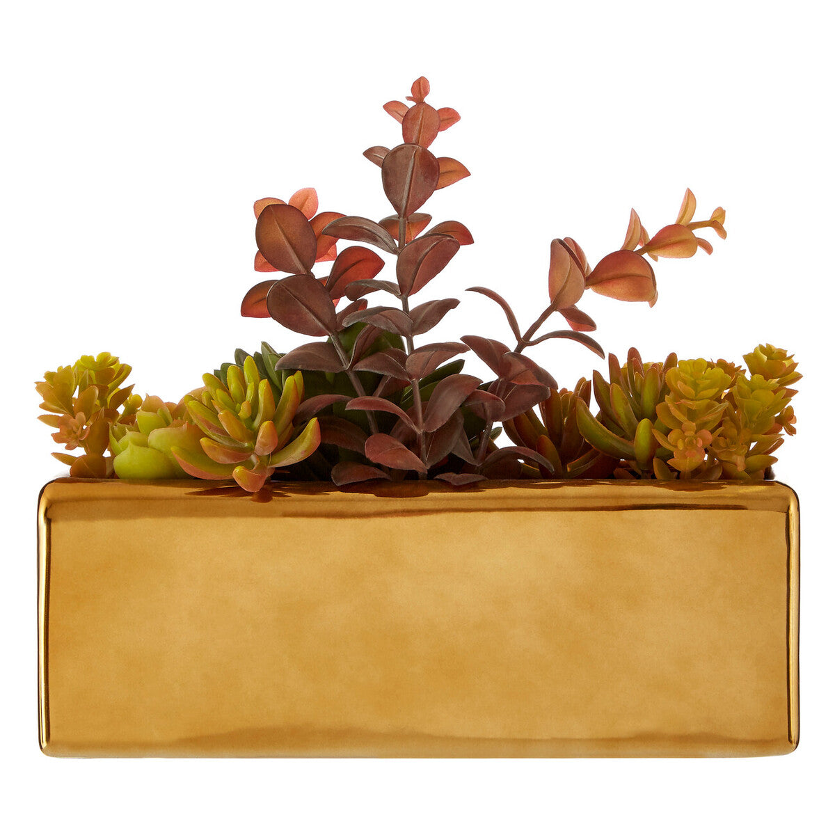 Fiori Mixed Succulents with Gold Ceramic Pot