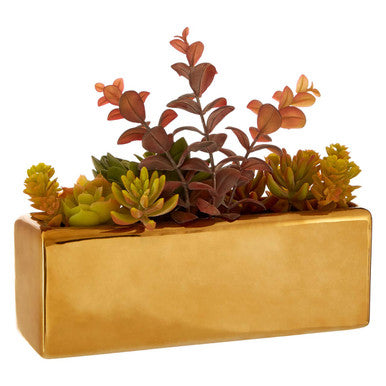 Fiori Mixed Succulents with Ceramic Gold Pot