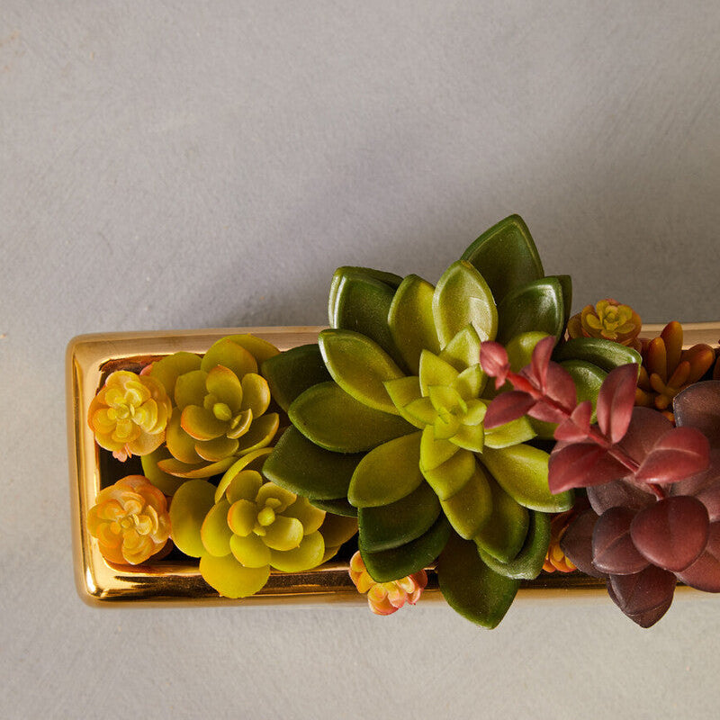 Decorative wall art with succulents on a plain background