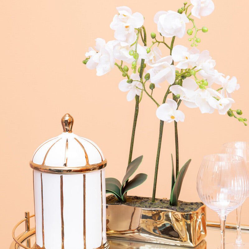 Fiori White Orchid Plant With Gold Finish Pot - Image 2